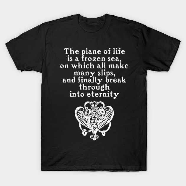 The Plane of Life is a Frozen Sea T-Shirt by MichaelaGrove